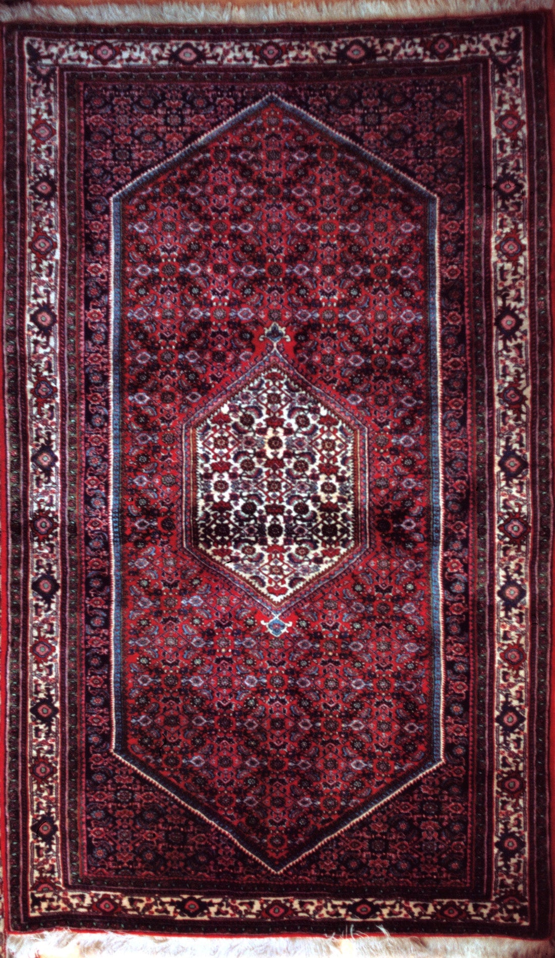 Bidjar rug from Iran with a repeating blue Herati or mahi pattern