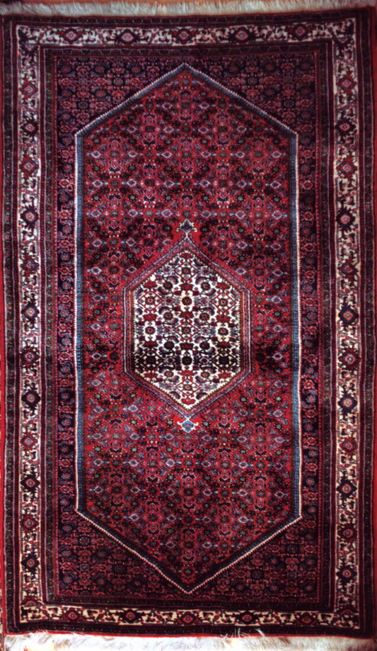 Bidjar rug from Iran with a repeating blue Herati or mahi pattern