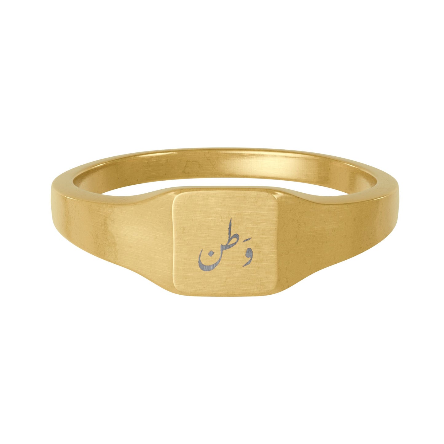 Vatan Stainless Steel Ring
